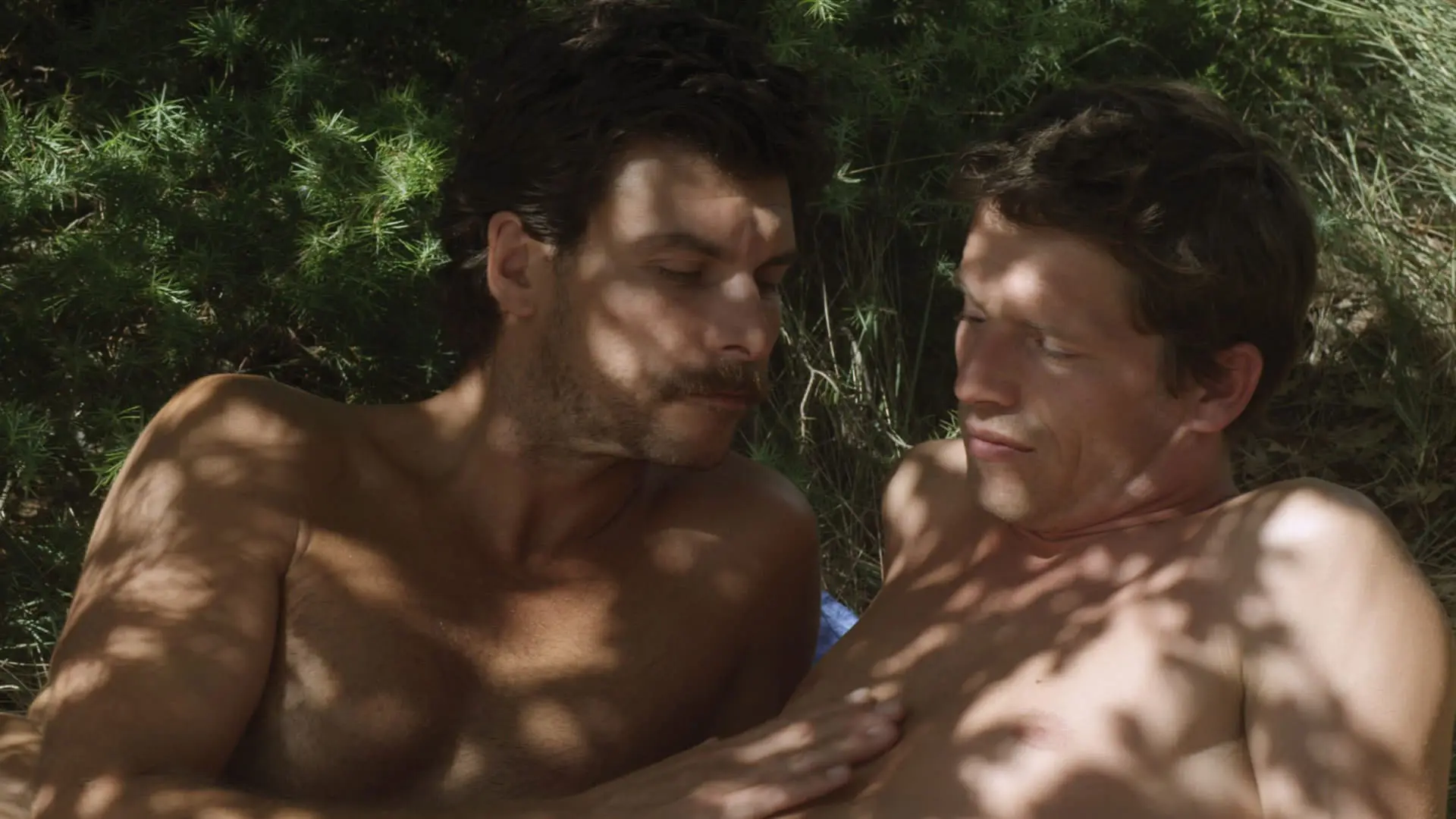 *L'Inconnu du lac* (Alain Guiraudie, 2013)