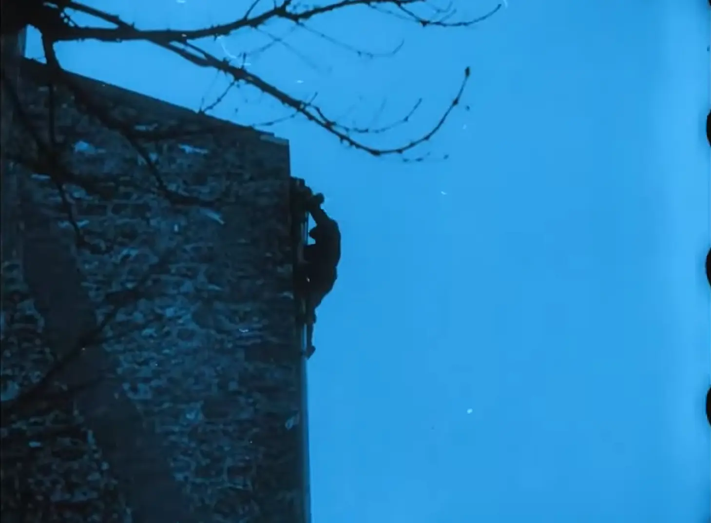 *Les Vampires* (Louis Feuillade, 1915–1916), episode 9: *L’Homme des poisons*
