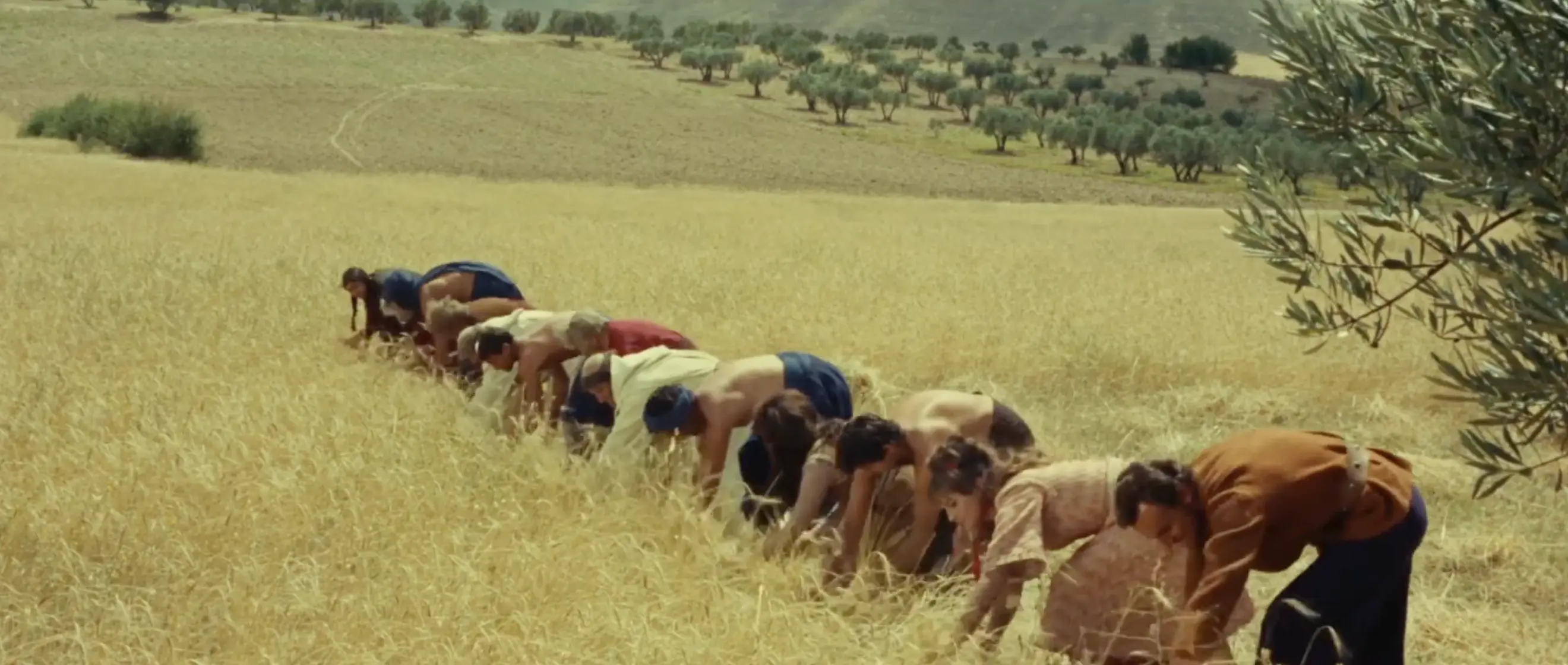 Three consecutive shots in the conclusion of *I cento cavalieri*.