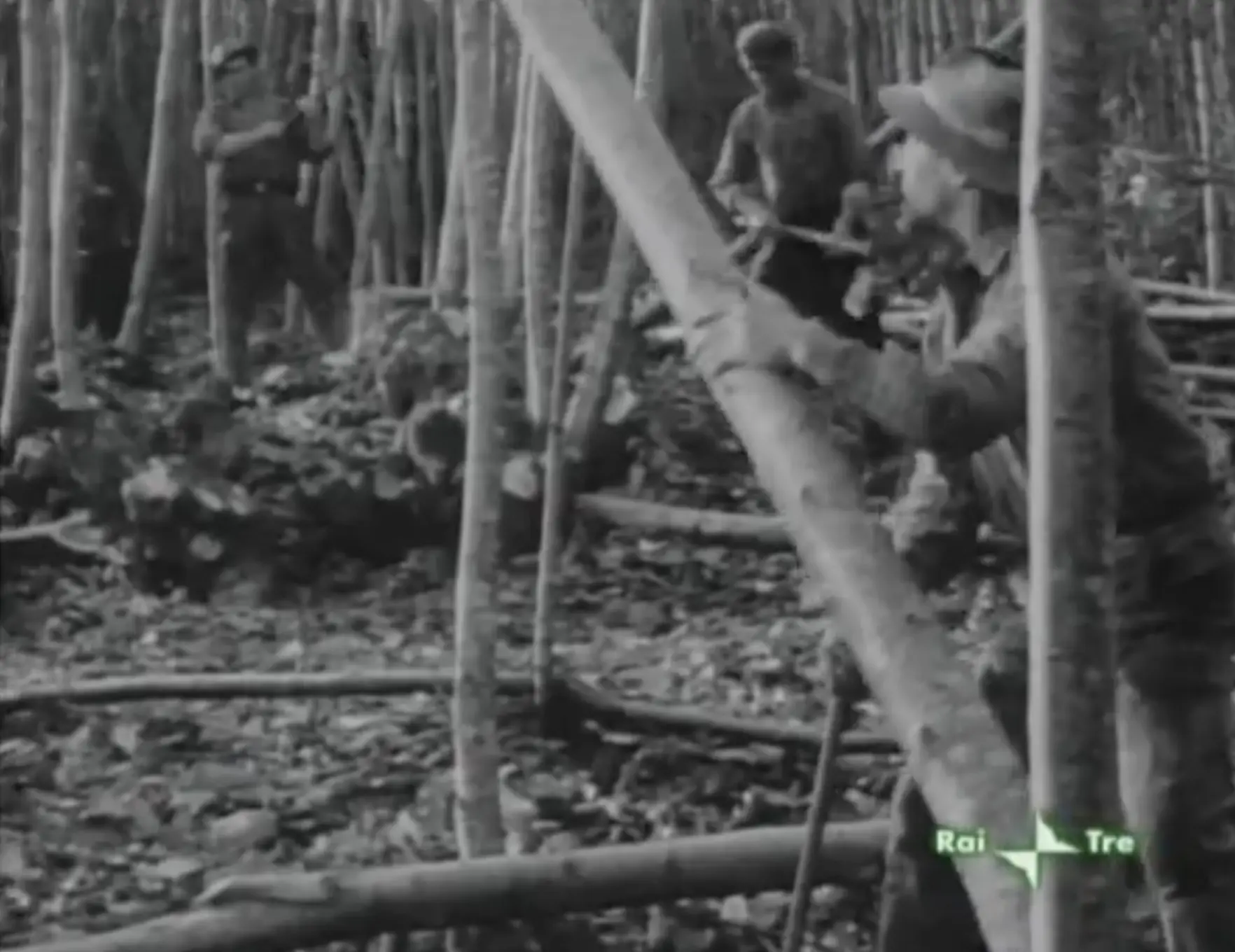 *Il taglio del bosco* (Vittorio Cottafavi, 1963)