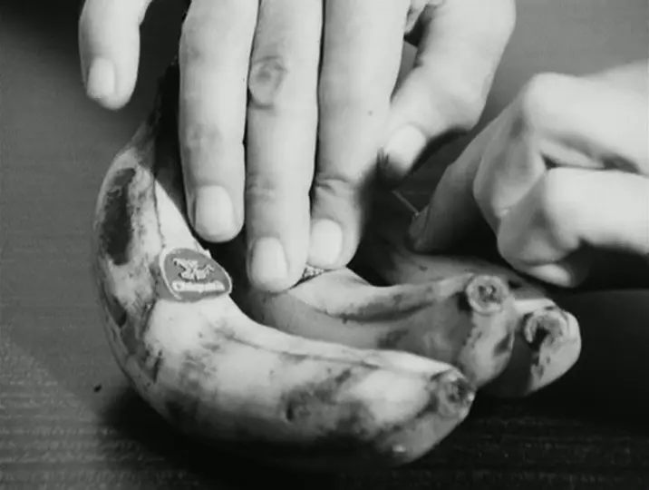 *Genèse d'un repas* (Luc Moullet, 1979)