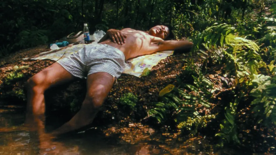 *Soot sa neh haa* (*Blissfully Yours*, Apichatpong Weerasethakul, 2002)